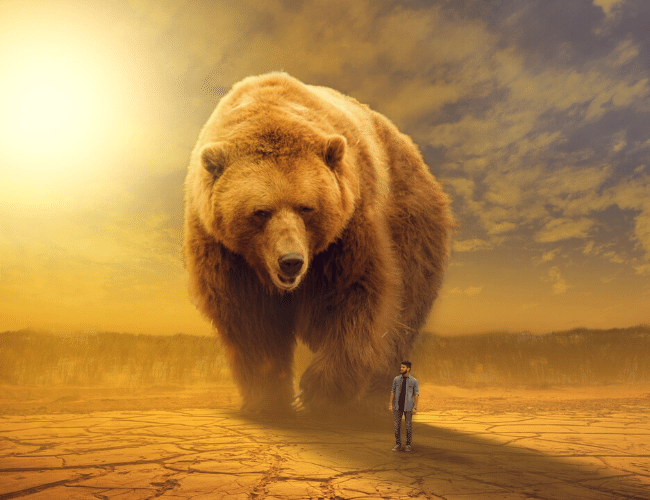 Bleibe bescheiden zeige Commitment und lerne von großen Bären wie das Leben funktioniert